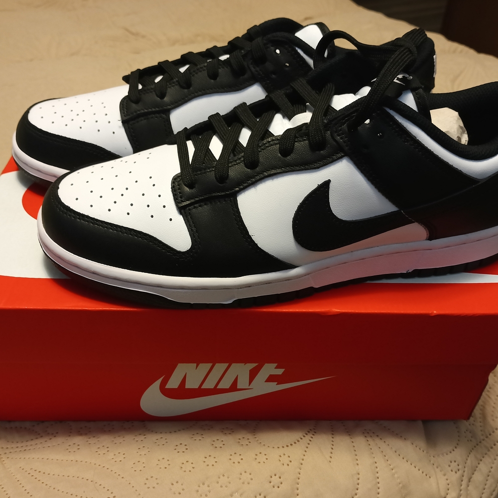 Nike Dunk low Size 10.5 New In Box